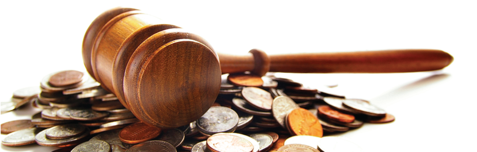 legal fin