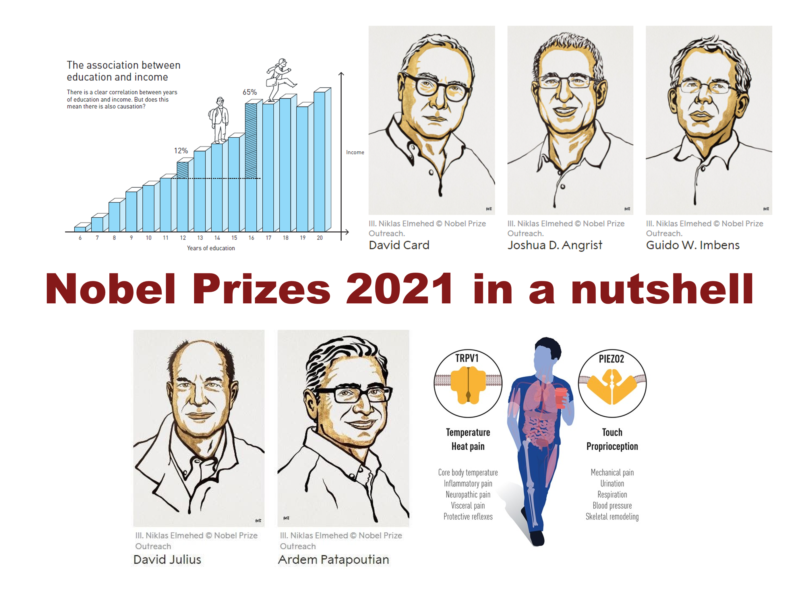 nobelprizes2.png
