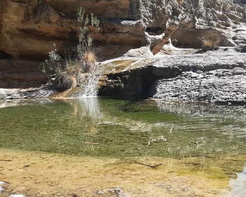 water